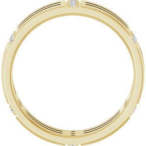 Matte - Joseph - 14K Yellow Gold 1/8 CTW Natural Diamond Eternity Band
