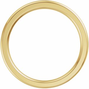 Modern - demo -1 14K Yellow Gold  Band