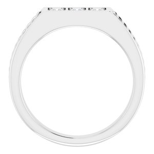 Hammered - Nolan - Platinum 1/10 CTW Natural Diamond Band