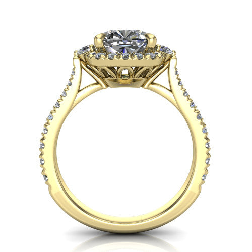 Amaya Cushion Shape Halo Engagement Ring in 14K Yellow Gold