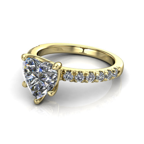 Ariana Heart Shape Classic Engagement Ring in 14K Yellow Gold