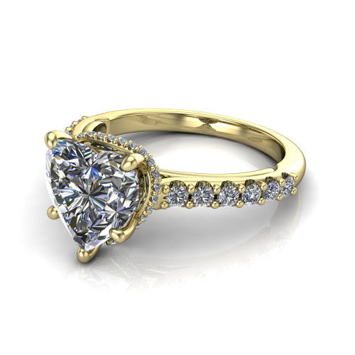 Allison Heart Shape Hidden Halo Engagement Ring in 14K Yellow Gold