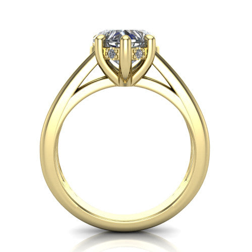 Julia Heart Shape Hidden Halo Engagement Ring in 14K Yellow Gold