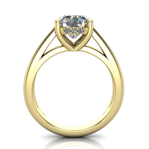 Julia Round Shape Hidden Halo Engagement Ring in 14K Yellow Gold
