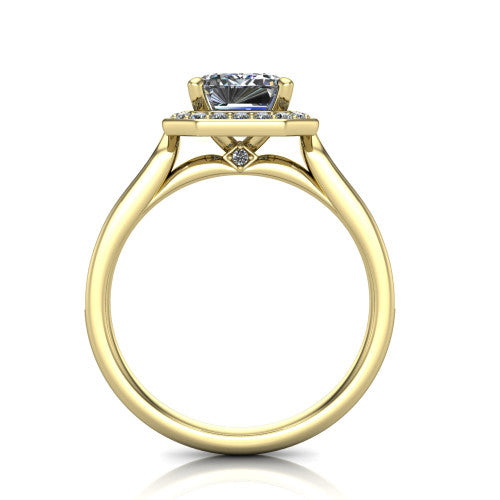 Wren Emerald Shape Halo Engagement Ring in 14K Yellow Gold