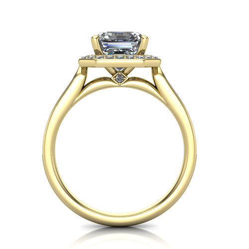 Wren Square Emerald Shape Halo Engagement Ring in 14K Yellow Gold