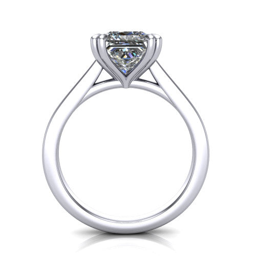 Rosalie princess-cut classic engagement ring in 14K White Gold, through-finger front profile showing the cathedral shoulders and open gallery from the front