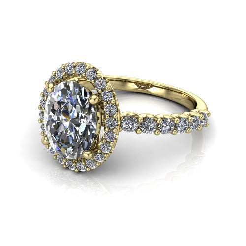 Mabel oval halo engagement ring in 14K Yellow Gold, three-quarter perspective showing the oval center diamond in a pave halo above a shared-prong pave band