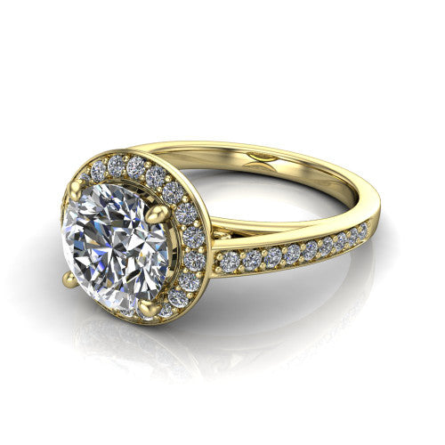 Danica Round Shape Halo Engagement Ring in 14K Yellow Gold