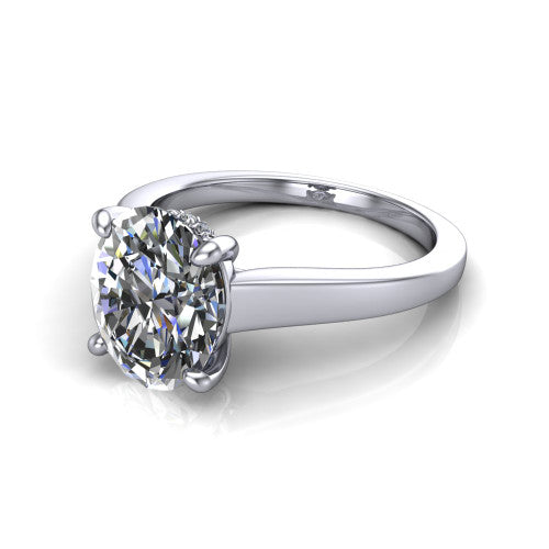 Agnes Oval Shape Hidden Halo Engagement Ring in Platinum