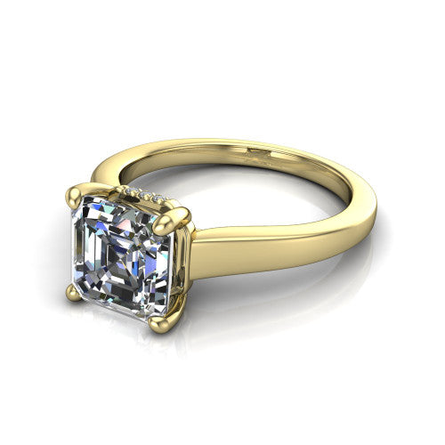 Agnes Square Emerald Shape Hidden Halo Engagement Ring in 14K Yellow Gold