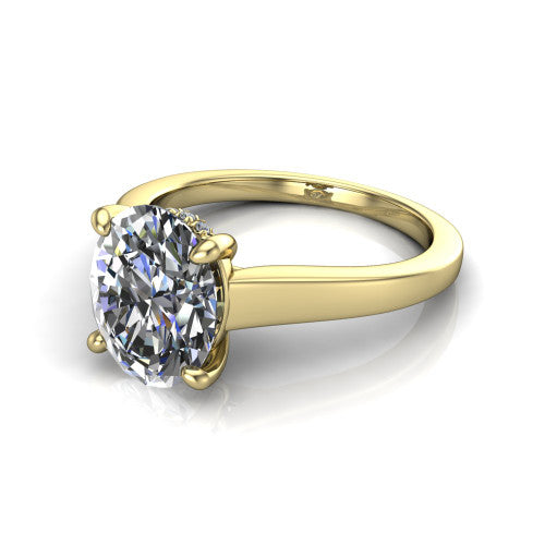 Agnes Oval Shape Hidden Halo Engagement Ring in 14K Yellow Gold