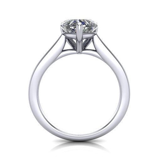 Agnes Heart Shape Hidden Halo Engagement Ring in 14K White Gold