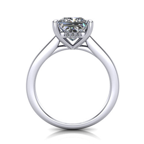 Agnes Princess Shape Hidden Halo Engagement Ring in Platinum