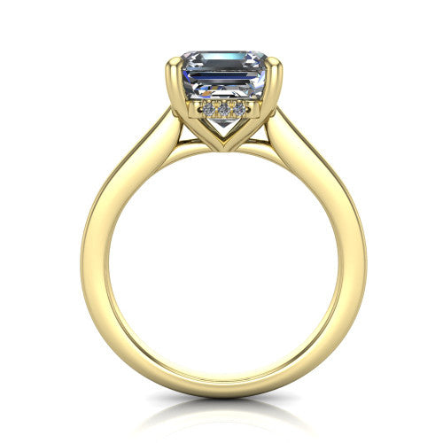 Agnes Square Emerald Shape Hidden Halo Engagement Ring in 18K Yellow Gold