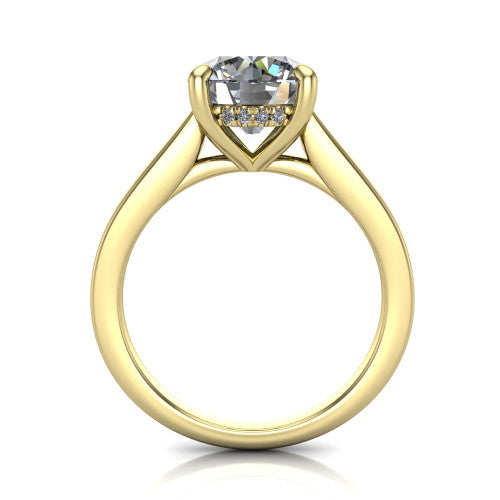 Agnes Round Shape Hidden Halo Engagement Ring in 14K Yellow Gold
