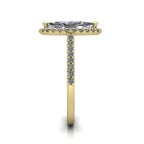 Birdie marquise halo engagement ring in 14K Yellow Gold, side profile showing the pav&eacute; band and the filigree gallery in profile