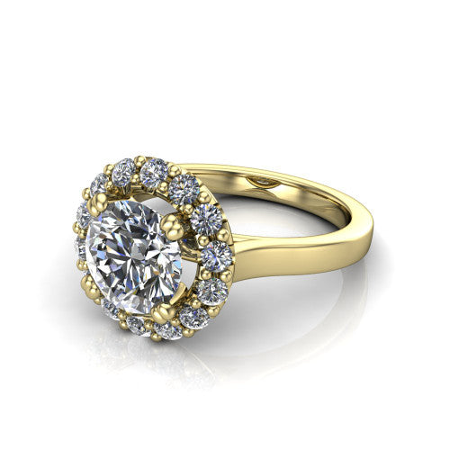 Raelyn Round Shape Halo Engagement Ring in 14K Yellow Gold