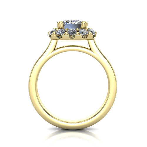 Raelyn Emerald Shape Halo Engagement Ring in 14K Yellow Gold